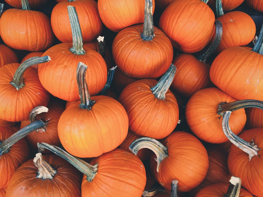 How to Have a Stylish Halloween