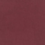 Dirty Rose House Velvet