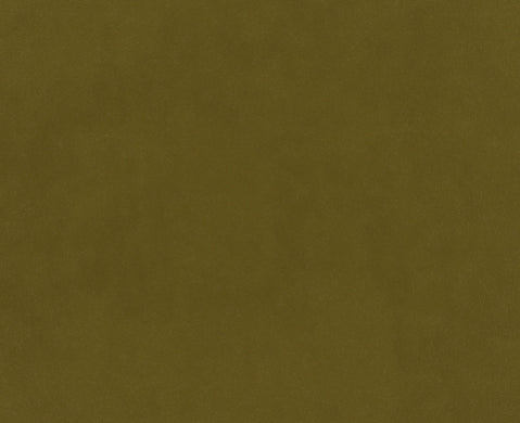 Moss House Velvet