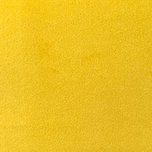 Daffodil House Velvet